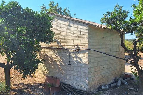 Finca i Ginestar, Tarragona, Ginestar - € 7 000 | Ref: CC846 - foto 7